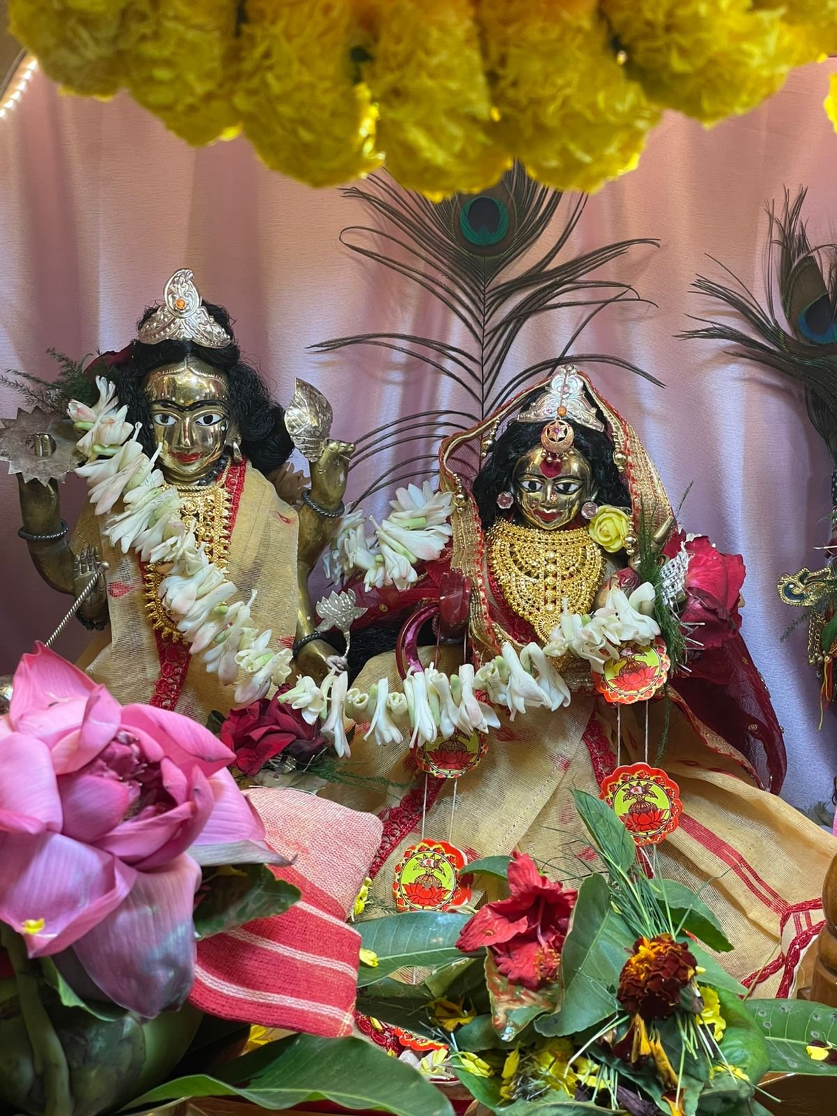 WhatsApp Image 2026-02-09 at 22.56.23